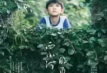 西小河的夏天 (2017) 蓝光1080P.国语中字-夸克网盘吧